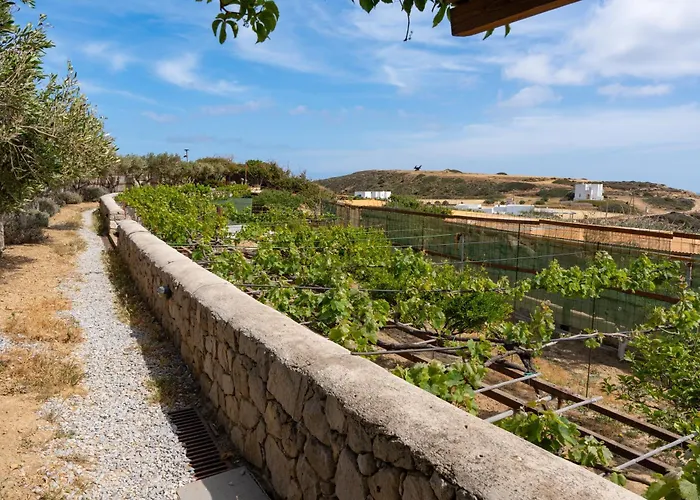 Luna Rossa Milos - Cocoon Προβατάς